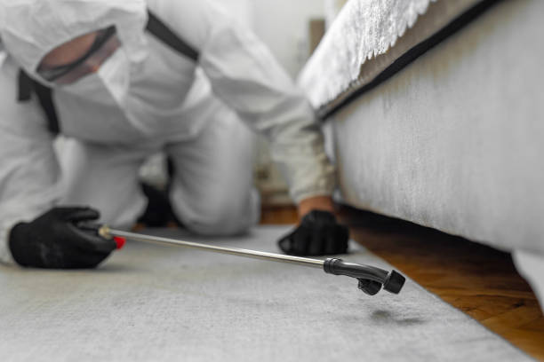 Professional Pest Control technician working in Woodbury Center, CT