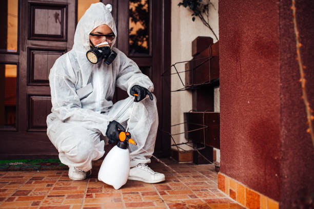 Reliable Mosquito Control contractor in Woodbury Center, CT by Nex Pest Control